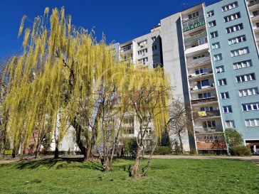 Mieszkanie Sprzedaż Warszawa Mokotów Stefana Bryły
